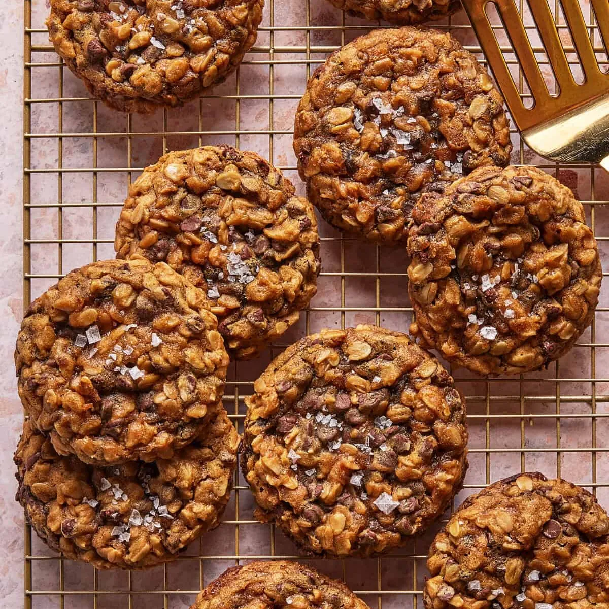 Healthy Peanut Butter Oat Snacking Cookies