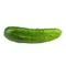 Organic Persian (Armenian) Cucumber
