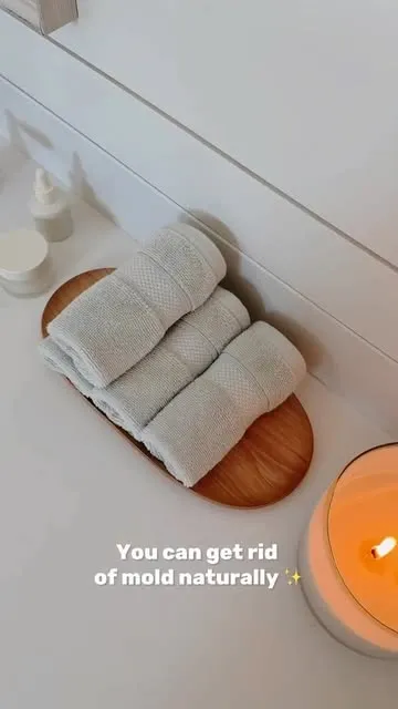 Natural Mold Remover
