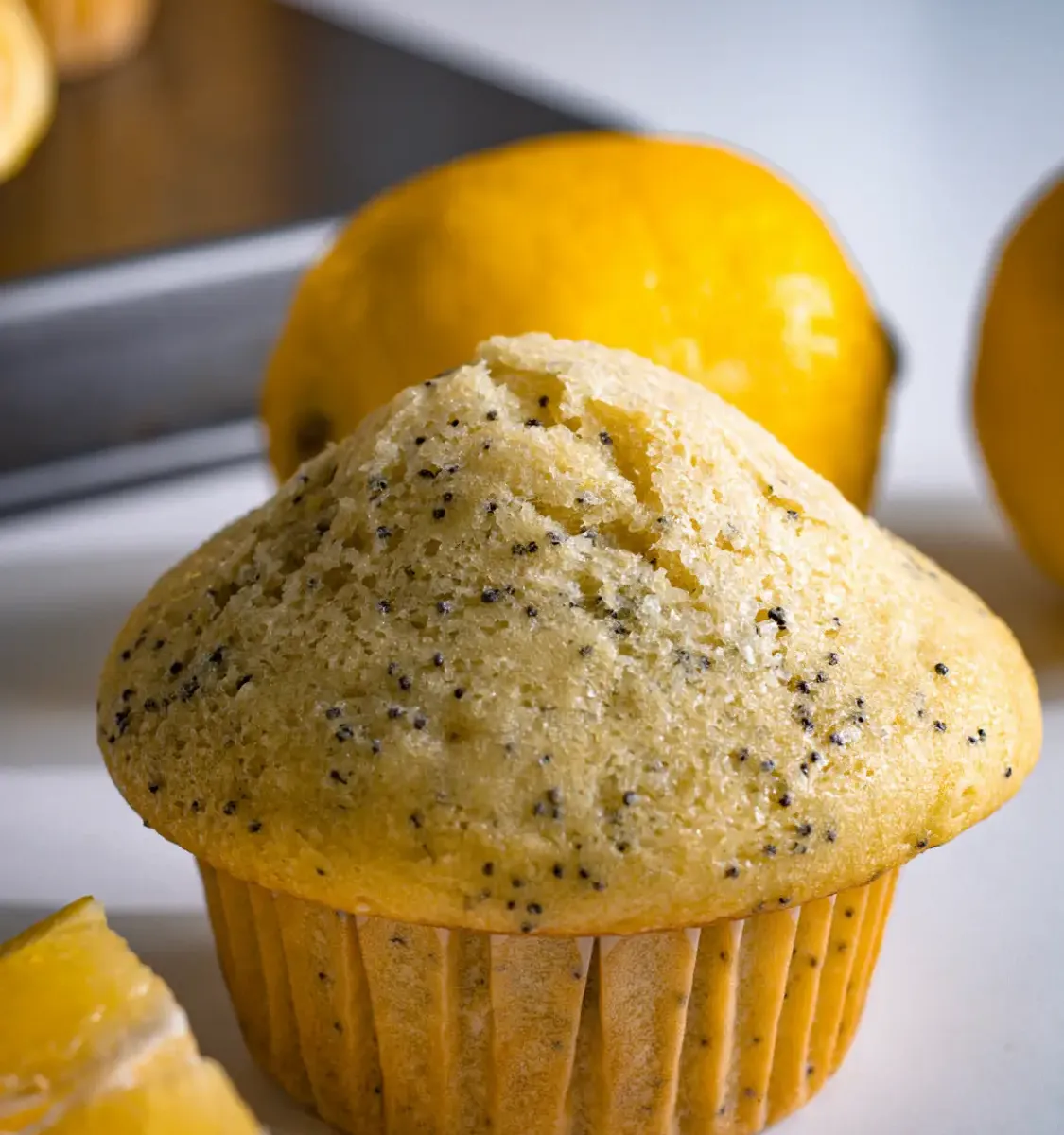 Lemon Poppy Seed Muffins 