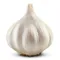 Sleeve Garlic Bulb