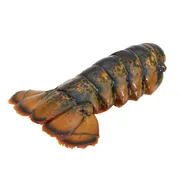 Lobster Tail