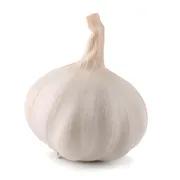 Garlic Package