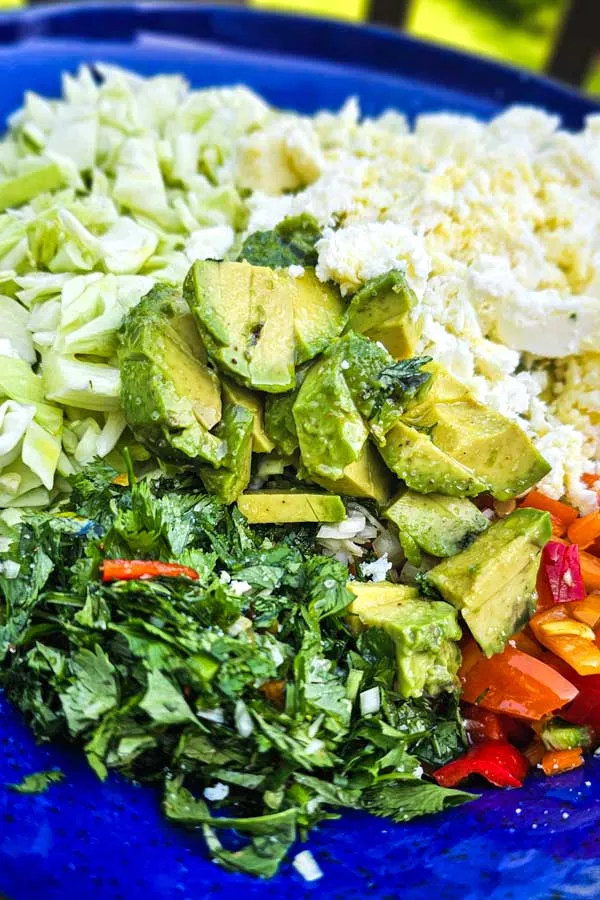 Southwestern Salad with Poblano and Avocado