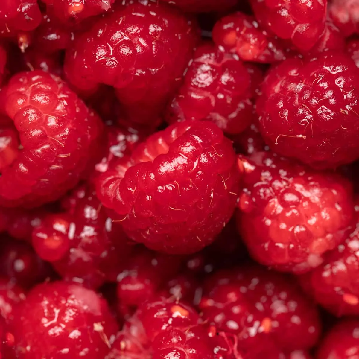 Macerated Raspberries
