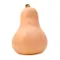 Organic Squash