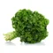 Curly Parsley Bunch