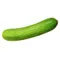 Persian (Armenian) Cucumber