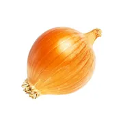 Organic Onion