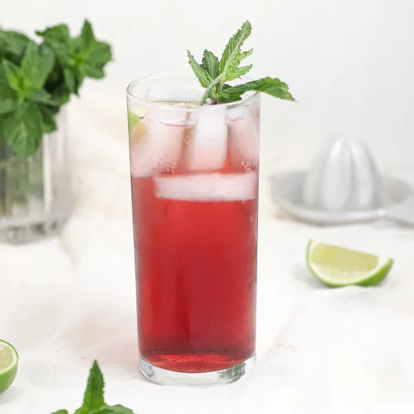 Blueberry Mojito Mocktail
