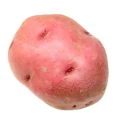 Red Creamer Potato Bag