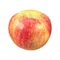 Honeycrisp Apple