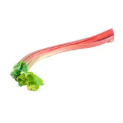 Rhubarb