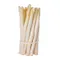 White Asparagus