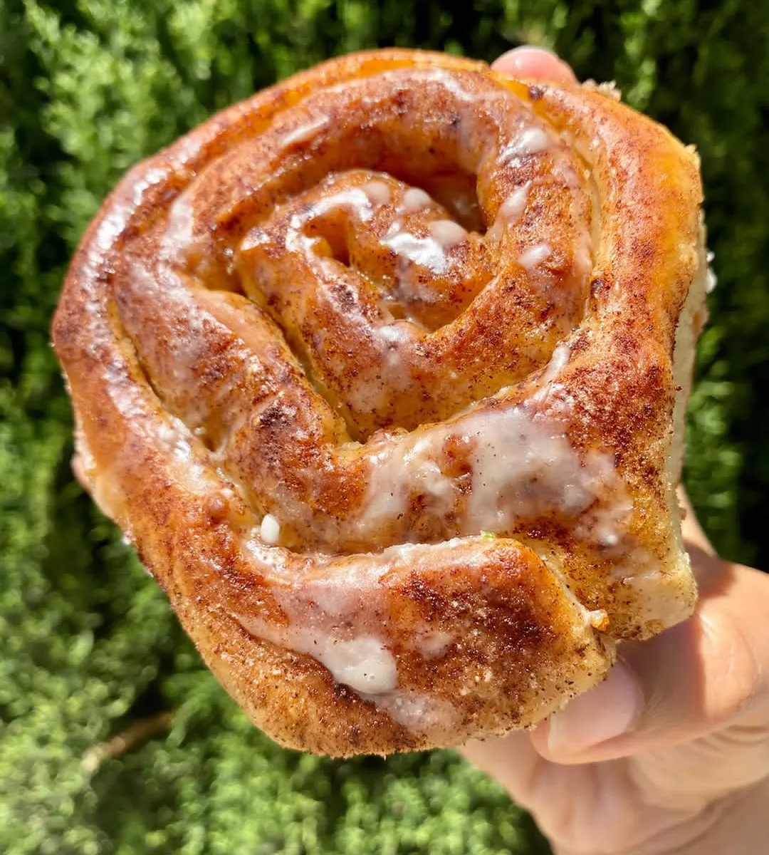 Cinnamon Crusted Cinnamon Rolls