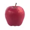 Airlie Red Flesh Apple