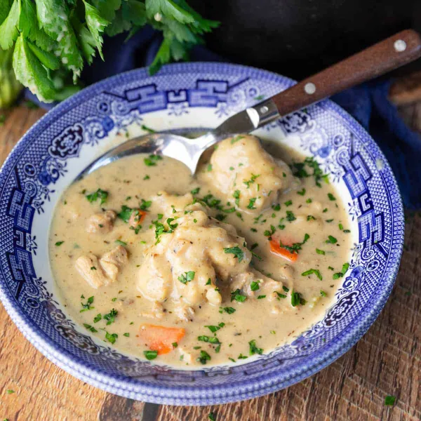 Easy Chicken and Dumplings from Scratch (One-Pot!)
