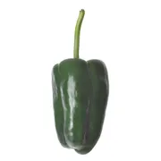 Poblano Pepper