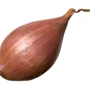 Onion Shallot (each)