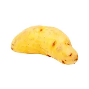 Fingerling Potato