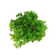 Organic Flat Leaf Parsley