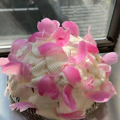 Recipe 'Berries & Cream Cake'