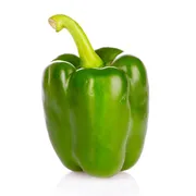 Green Bell Pepper