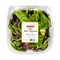 Lazy Acres Pl Baby Romaine