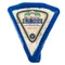BelGioioso Blue Cheese Wedge