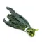 Lacinato (Dinosaur) Kale
