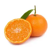 Large Valencia Orange