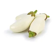 White Eggplant