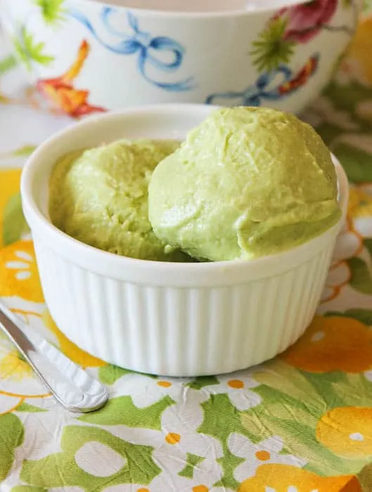 Vanilla Avocado Banana Ice Cream