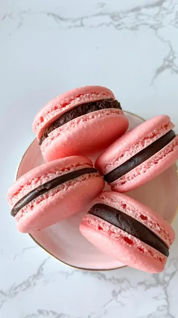Chocolate Raspberry Macaron