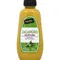 SIGNATURE SELECTS Mustard, Jalapeno