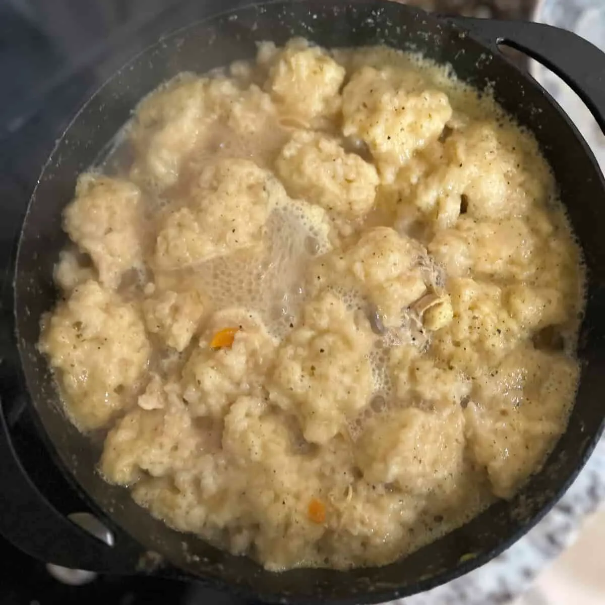 Sourdough Chicken n' Dumplings